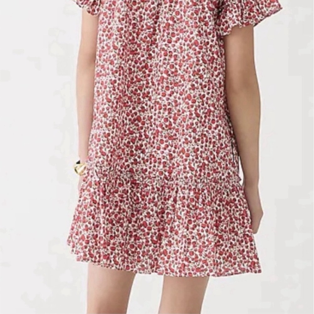 J. Crew Amelia Cotton Dress in Liberty Eliza's Red Floral Womens Medium - Picture 2 of 16